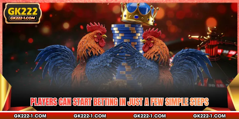 Players can start betting in just a few simple steps