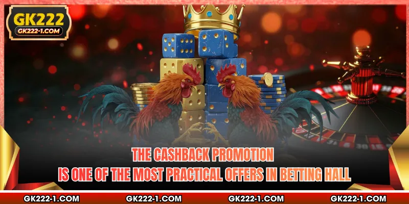 The cashback promotion is one of the most practical offers in betting hall
