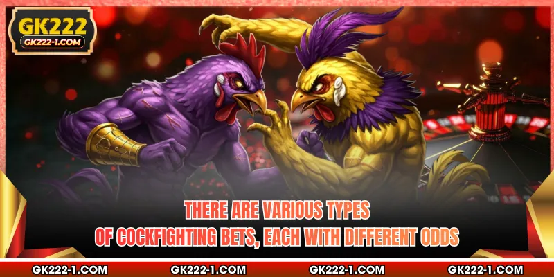 There are various types of cockfighting bets, each with different odds