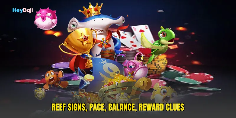 Reef signs, pace, balance, reward clues